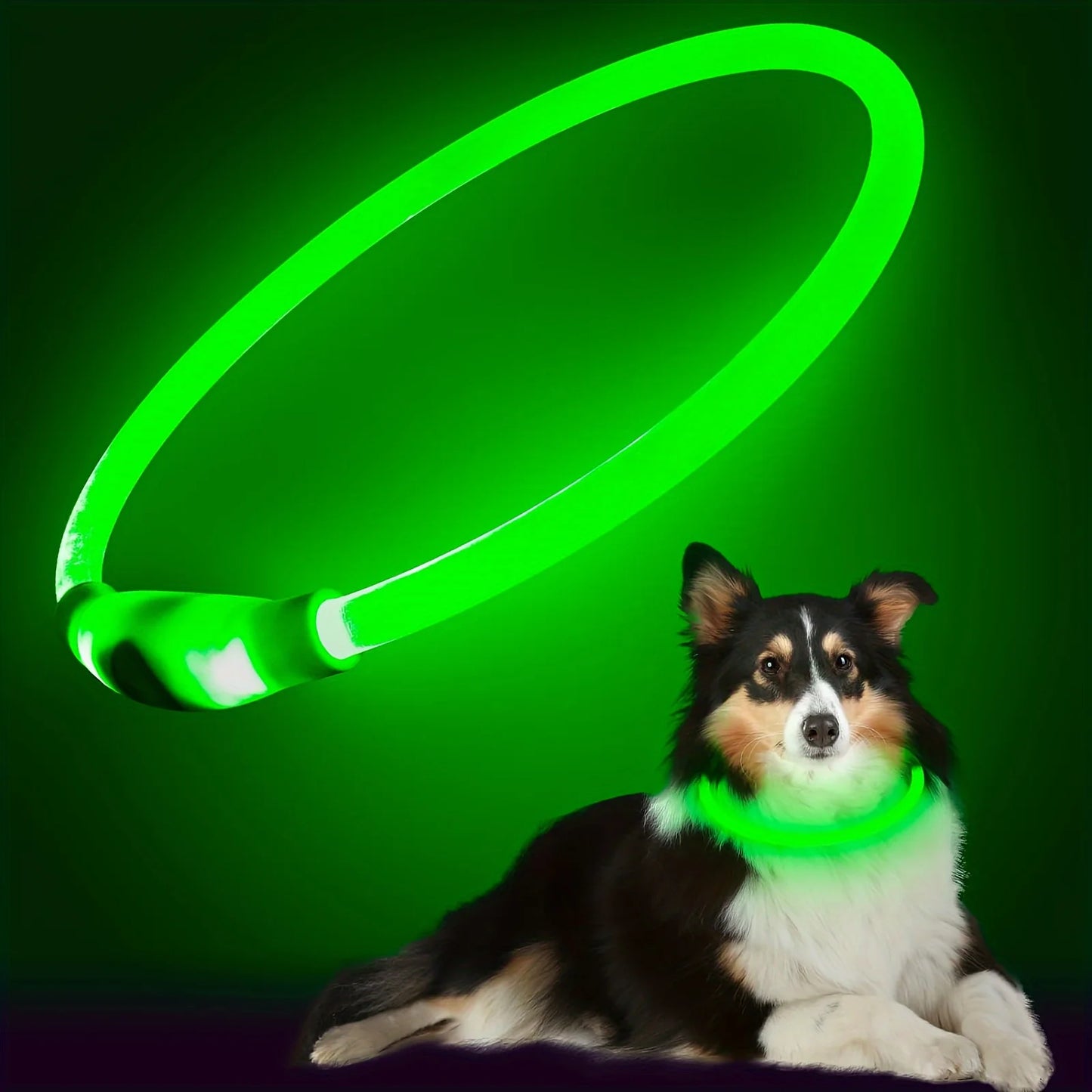 Glow-in-the-Dark LED Dog Collar 💡 | USB Rechargeable & Anti-Lost