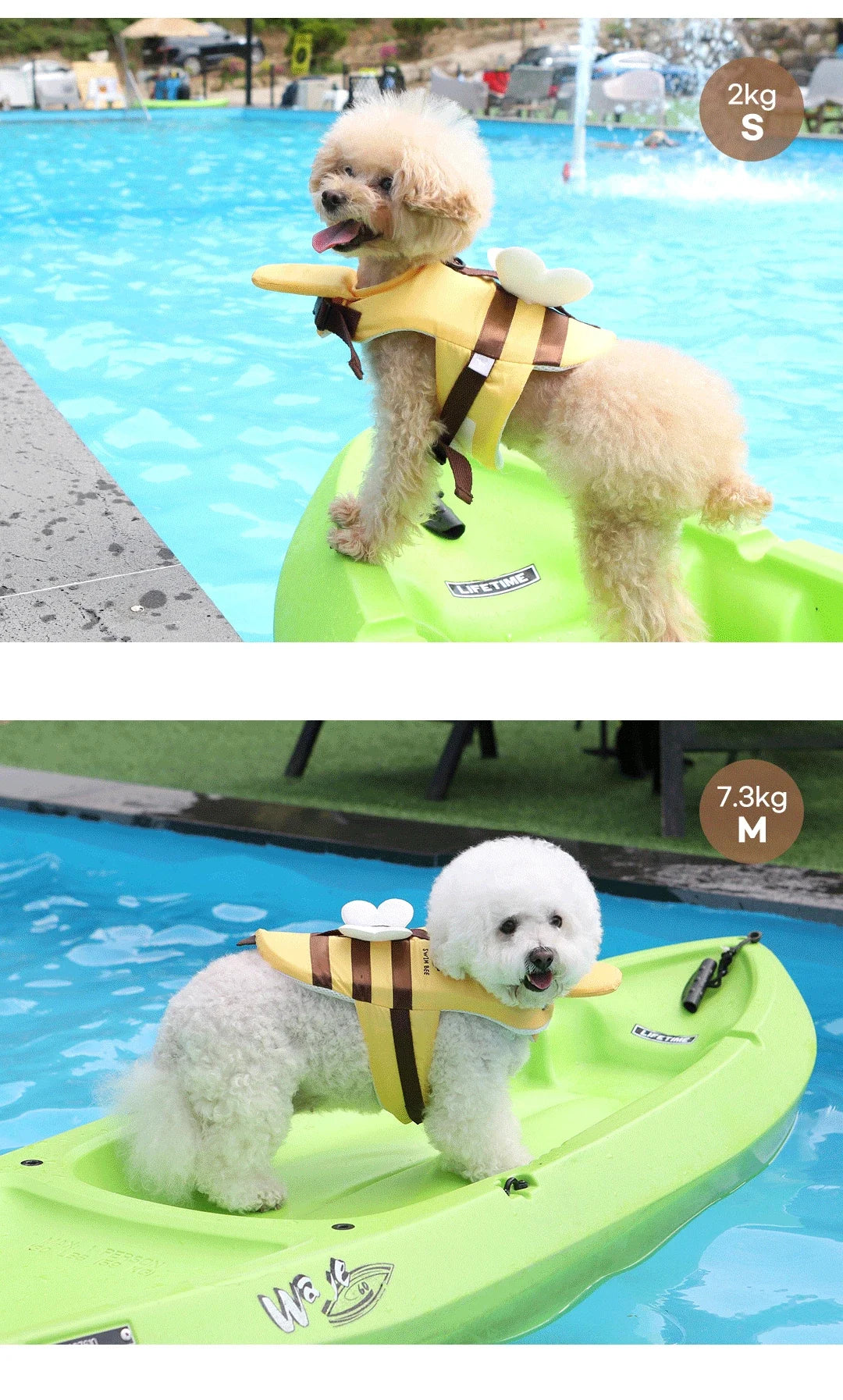 Cute Dog Life Jacket 🦺 | Bee Design Pet Swimming Vest