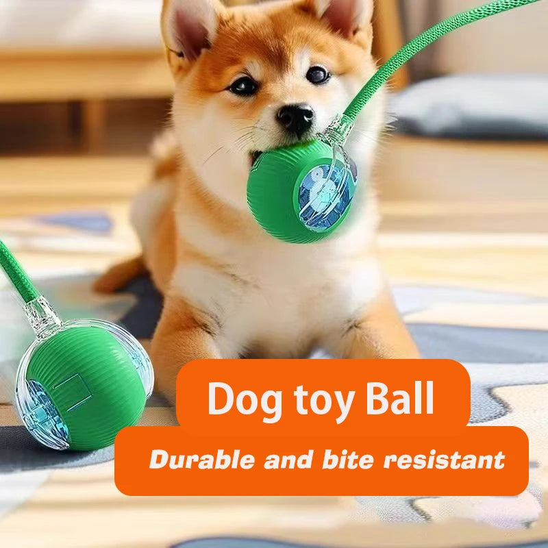 Smart Interactive Dog Ball 🎾 | Auto-Rolling & Rechargeable Toy