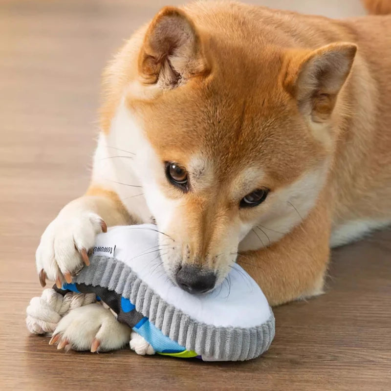 Durable Dog Chew Toy 🦴 | Teeth-Cleaning Rope Toy