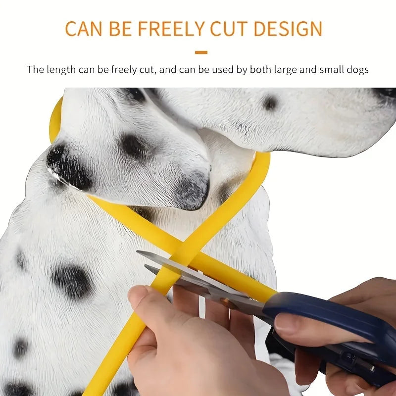 Glow-in-the-Dark LED Dog Collar 💡 | USB Rechargeable & Anti-Lost