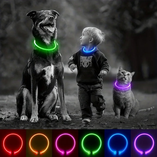 Glow-in-the-Dark LED Dog Collar 💡 | USB Rechargeable & Anti-Lost