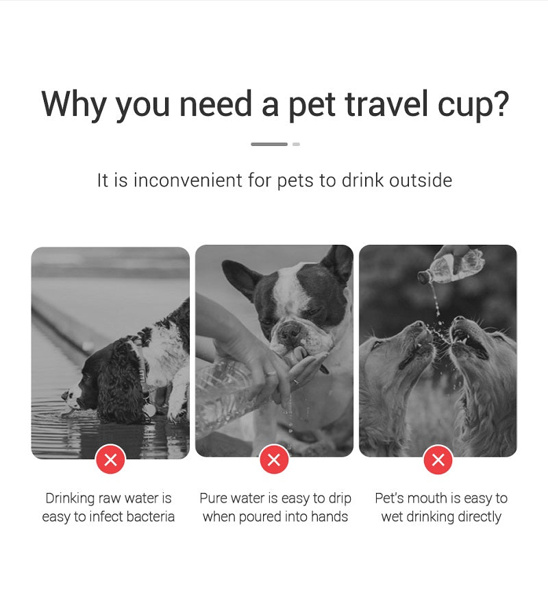 Portable Dog Water Bottle 💧 | Leak-Proof Travel Drinking Bottle