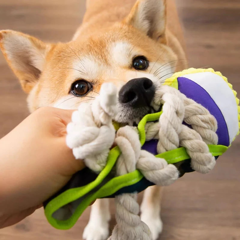 Durable Dog Chew Toy 🦴 | Teeth-Cleaning Rope Toy