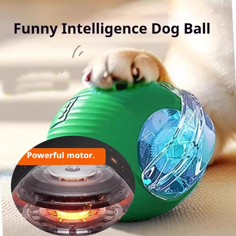 Smart Interactive Dog Ball 🎾 | Auto-Rolling & Rechargeable Toy