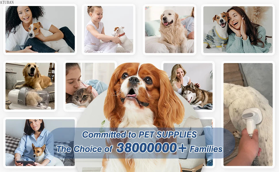 All-in-One Dog Grooming Vacuum Kit 🧹 | 2.3L Pro Pet Groomer