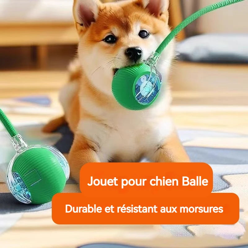 Smart Interactive Dog Ball 🎾 | Auto-Rolling & Rechargeable Toy