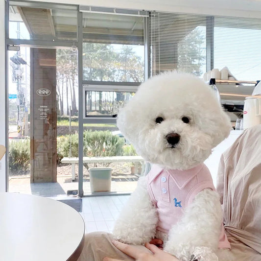 Cute Dog Polo Shirt 👕 | Soft & Breathable Pet Outfit