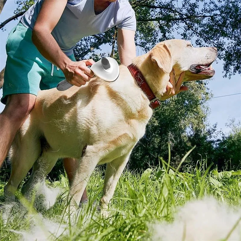 Self-Cleaning Slicker Brush 🪮 | Easy Deshedding Pet Grooming