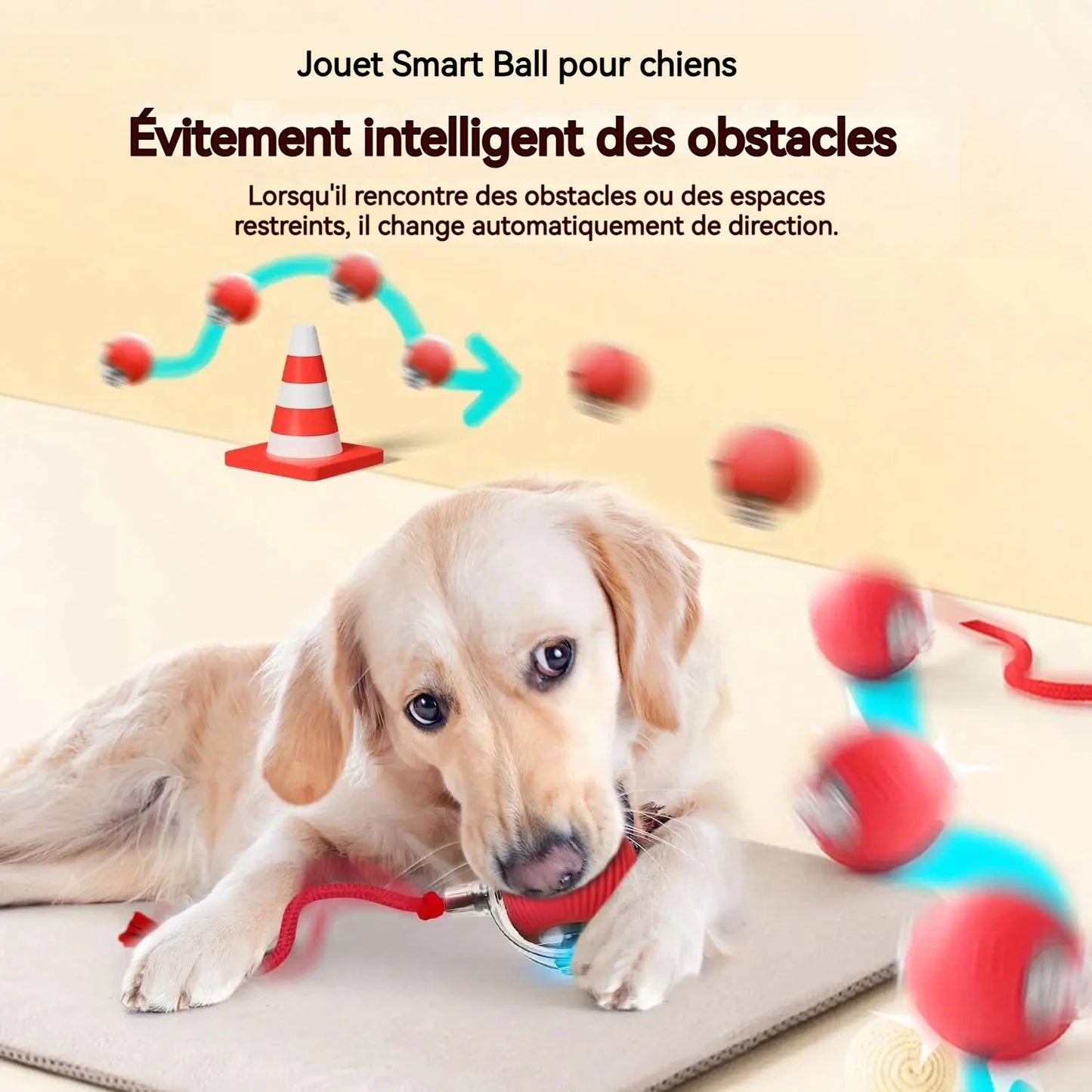 Smart Interactive Dog Ball 🎾 | Auto-Rolling & Rechargeable Toy
