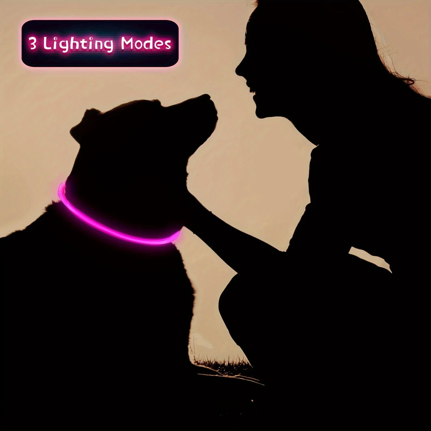 Glow-in-the-Dark LED Dog Collar 💡 | USB Rechargeable & Anti-Lost