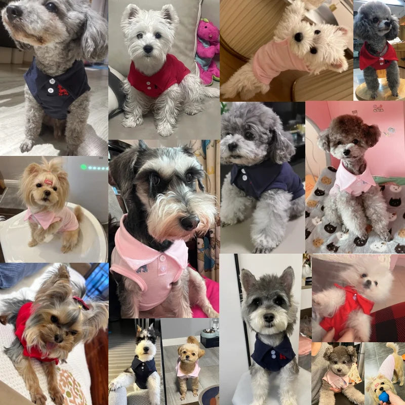 Cute Dog Polo Shirt 👕 | Soft & Breathable Pet Outfit