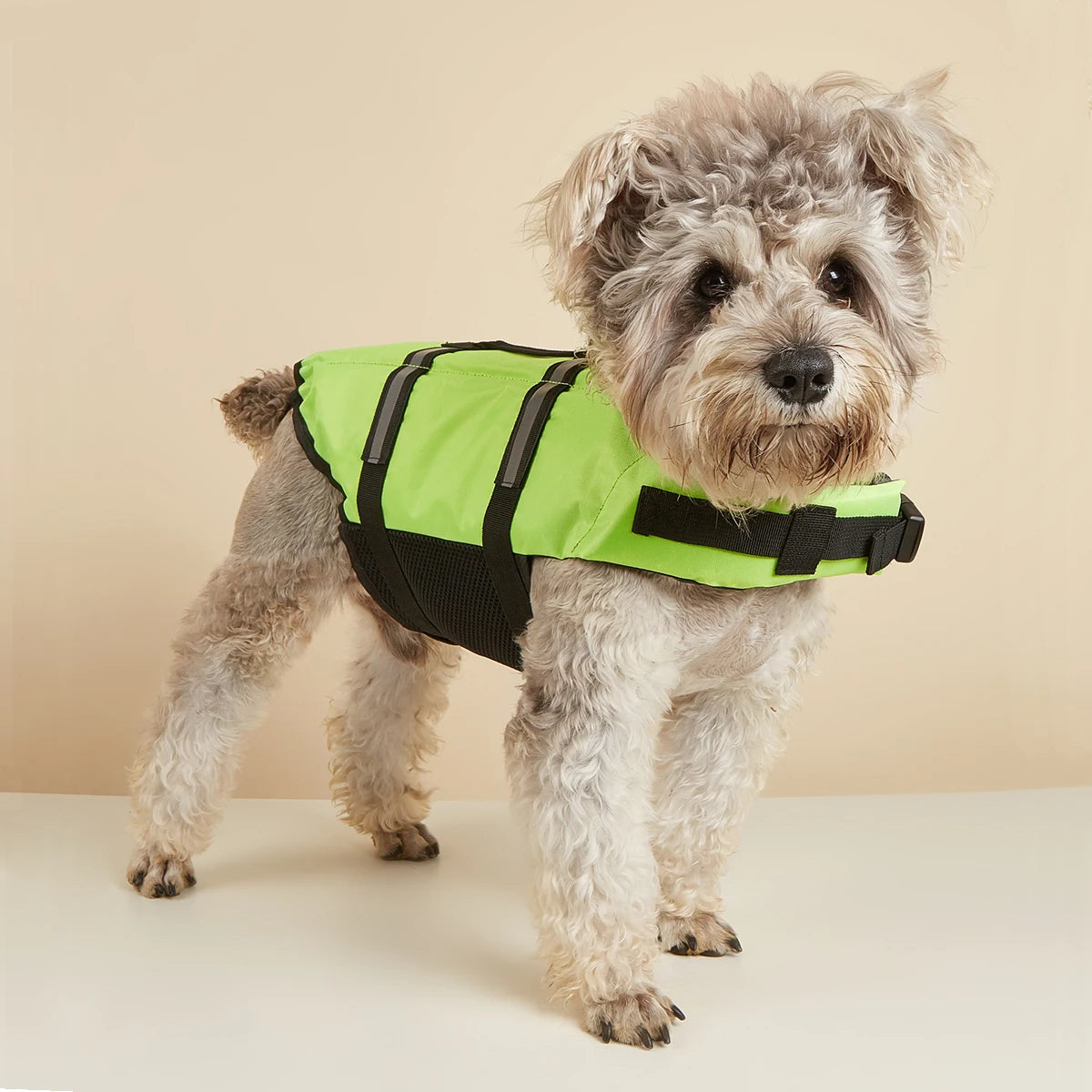 Pro Dog Life Jacket 🦺 | Reflective Adjustable Swimming Vest