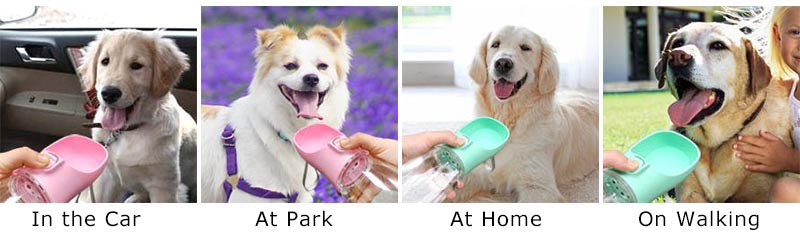 Portable Dog Water Bottle 💧 | Leak-Proof Travel Drinking Bottle