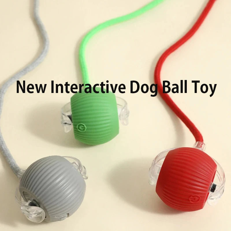 Smart Interactive Dog Ball 🎾 | Auto-Rolling & Rechargeable Toy