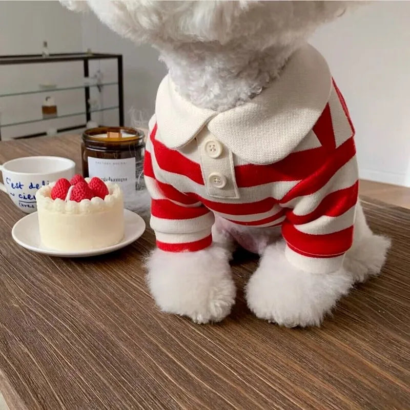Cute Dog Polo Shirt 👕 | Soft & Breathable Pet Outfit