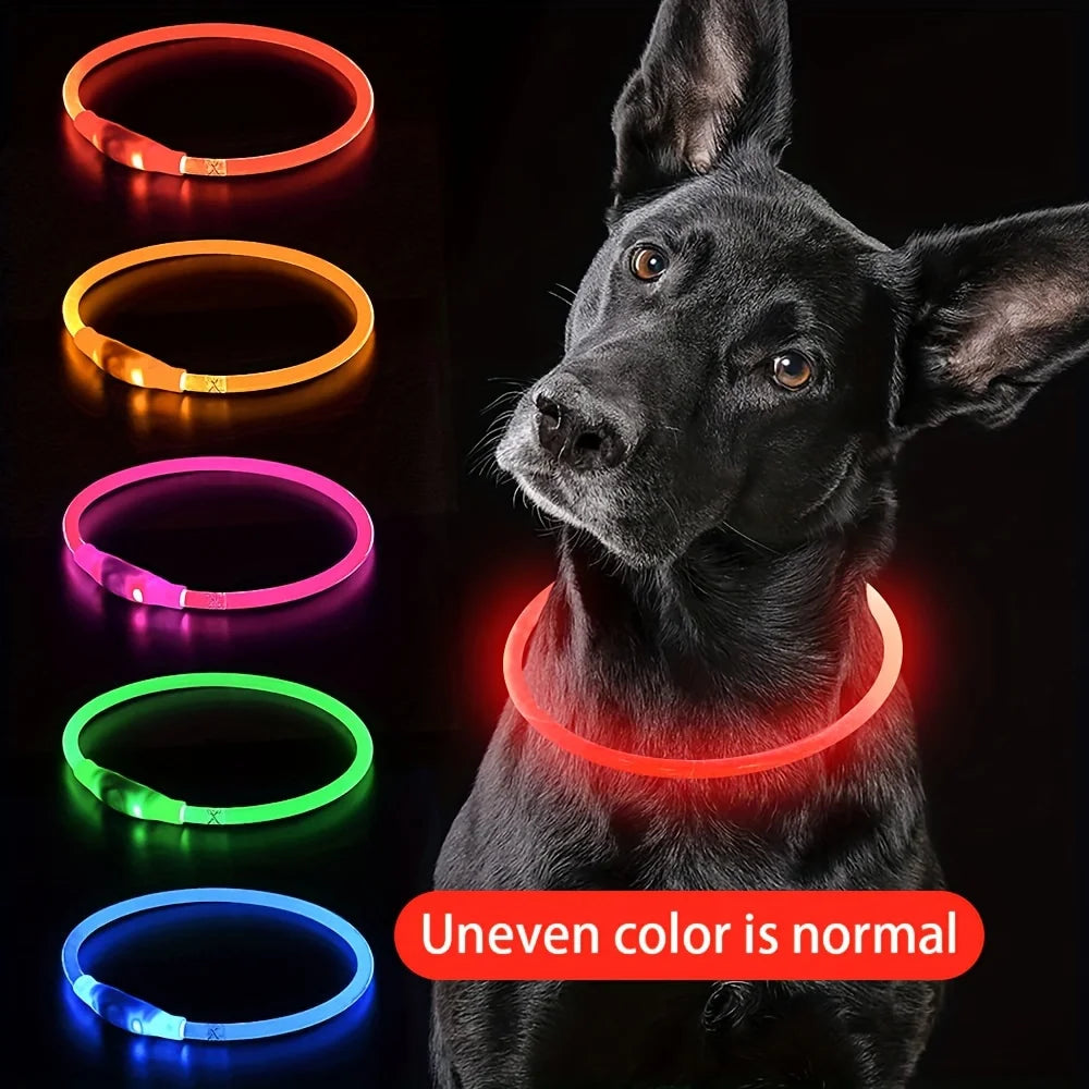 Glow-in-the-Dark LED Dog Collar 💡 | USB Rechargeable & Anti-Lost