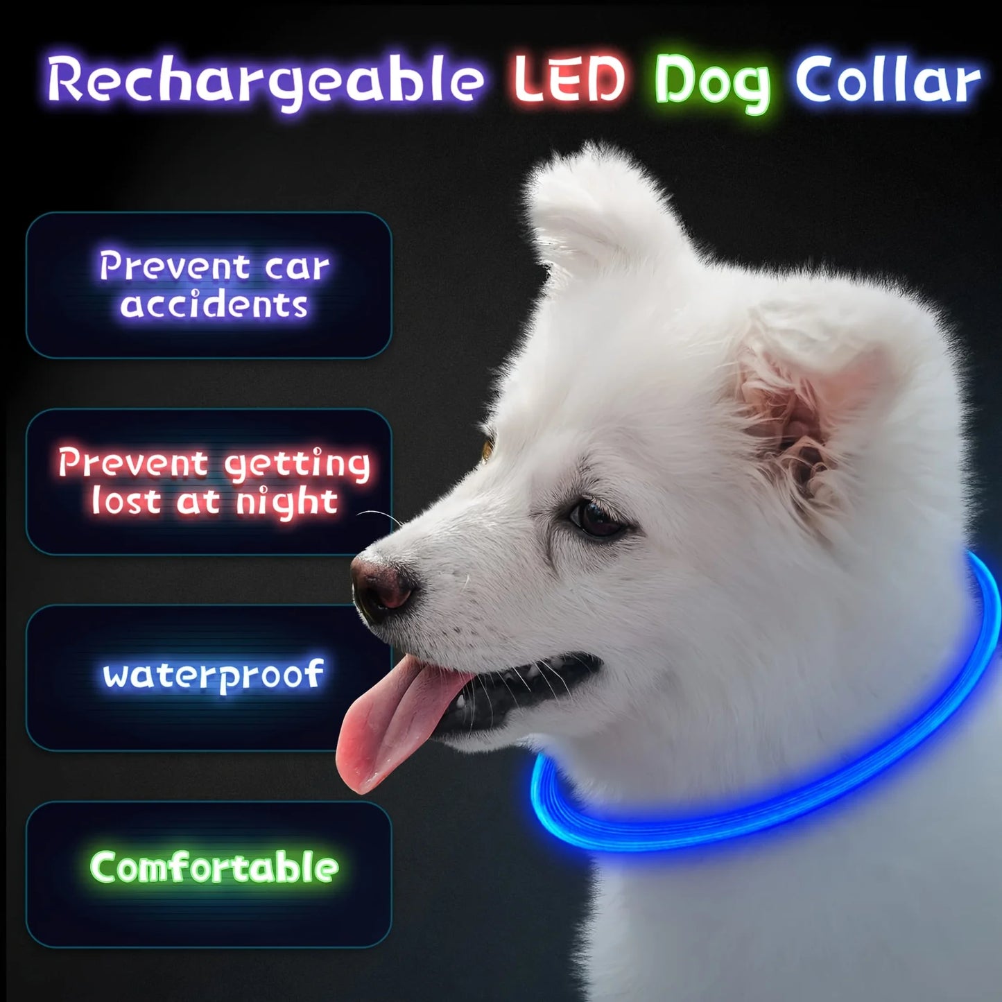 Glow-in-the-Dark LED Dog Collar 💡 | USB Rechargeable & Anti-Lost
