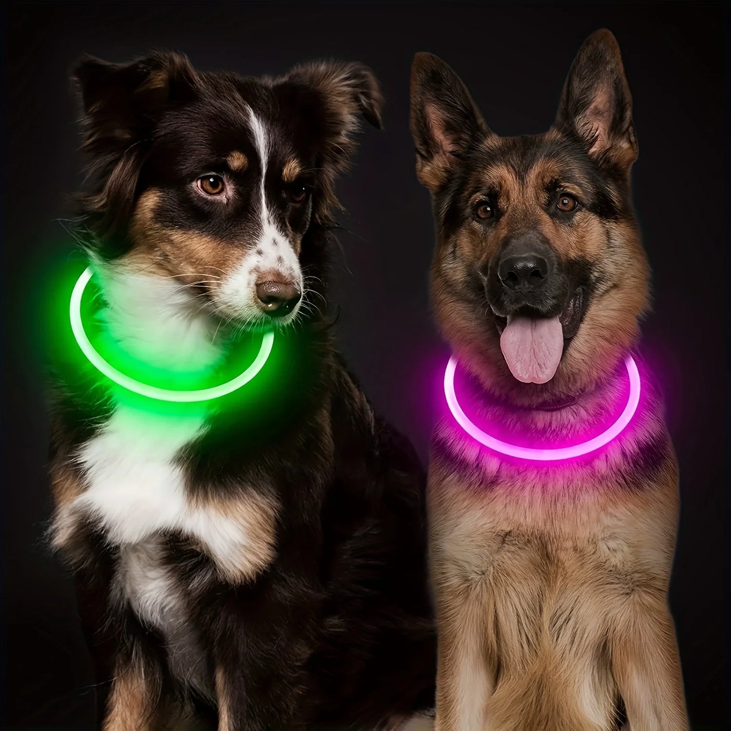 Glow-in-the-Dark LED Dog Collar 💡 | USB Rechargeable & Anti-Lost