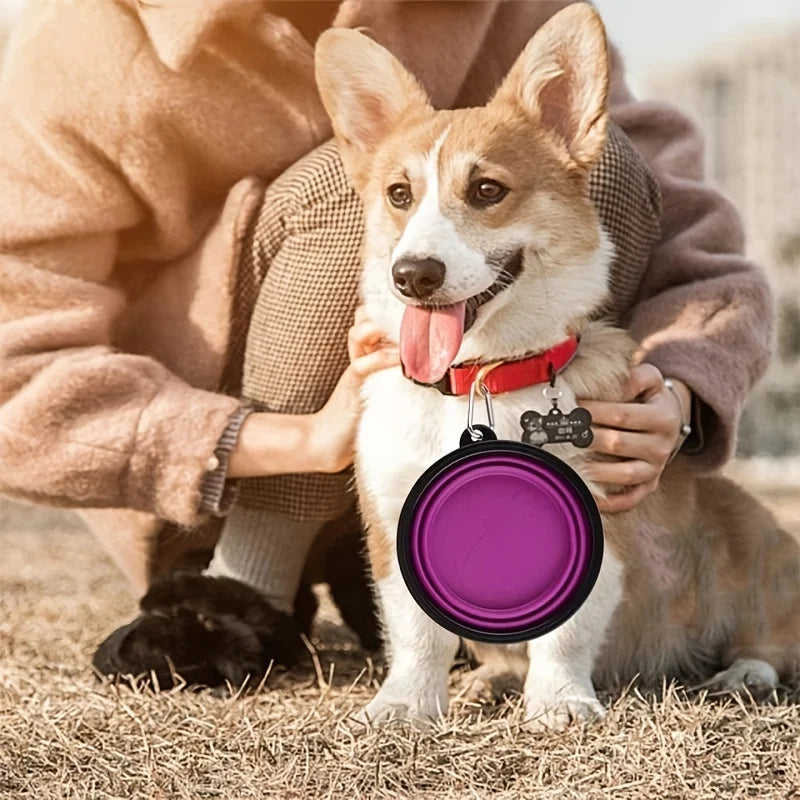 Portable Collapsible Pet Bowl 🥣 | Travel Silicone Food & Water Bowl