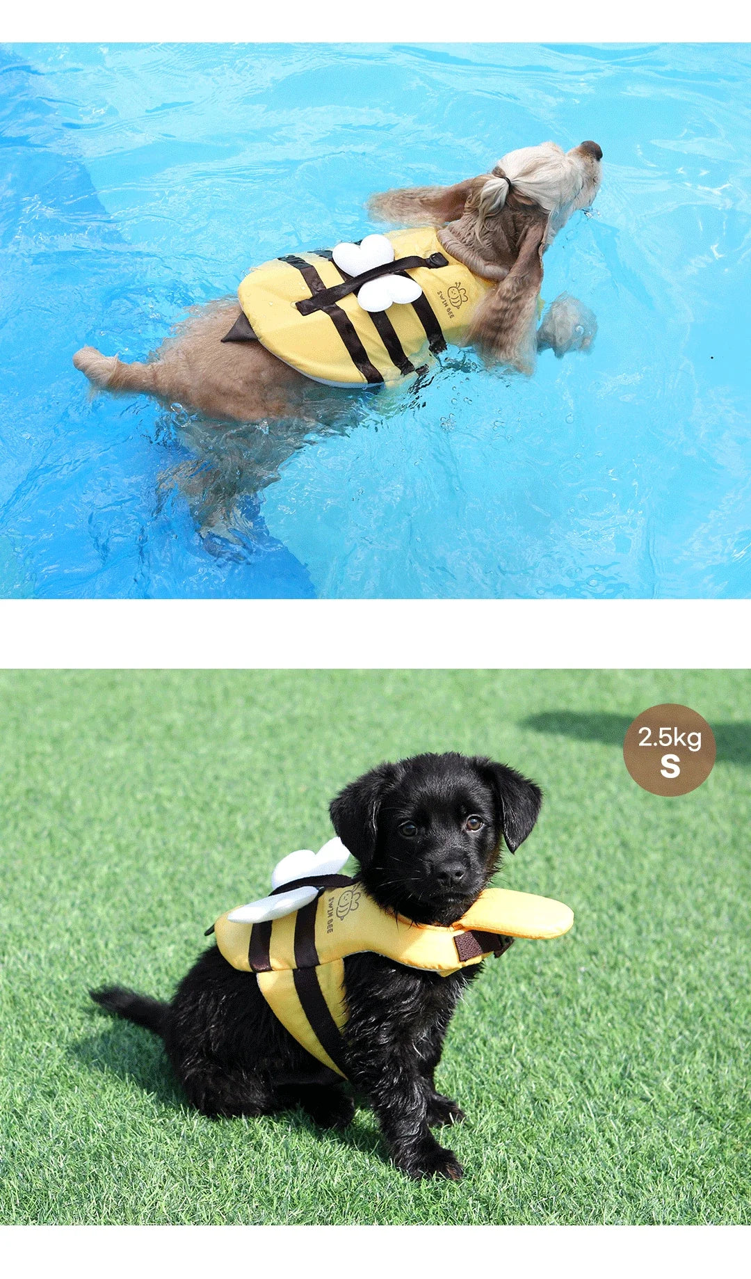 Cute Dog Life Jacket 🦺 | Bee Design Pet Swimming Vest