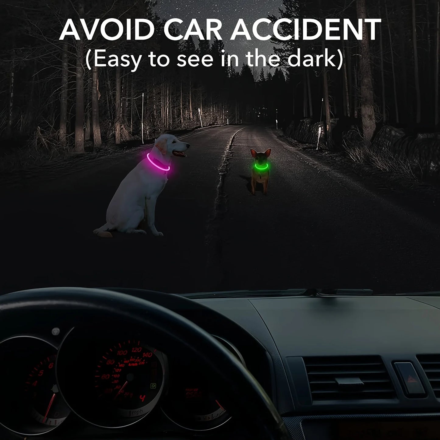 Glow-in-the-Dark LED Dog Collar 💡 | USB Rechargeable & Anti-Lost