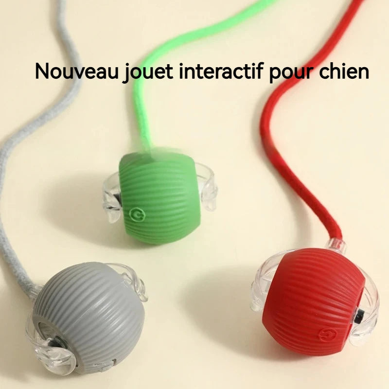 Smart Interactive Dog Ball 🎾 | Auto-Rolling & Rechargeable Toy