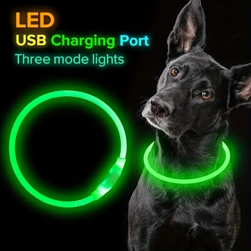Glow-in-the-Dark LED Dog Collar 💡 | USB Rechargeable & Anti-Lost