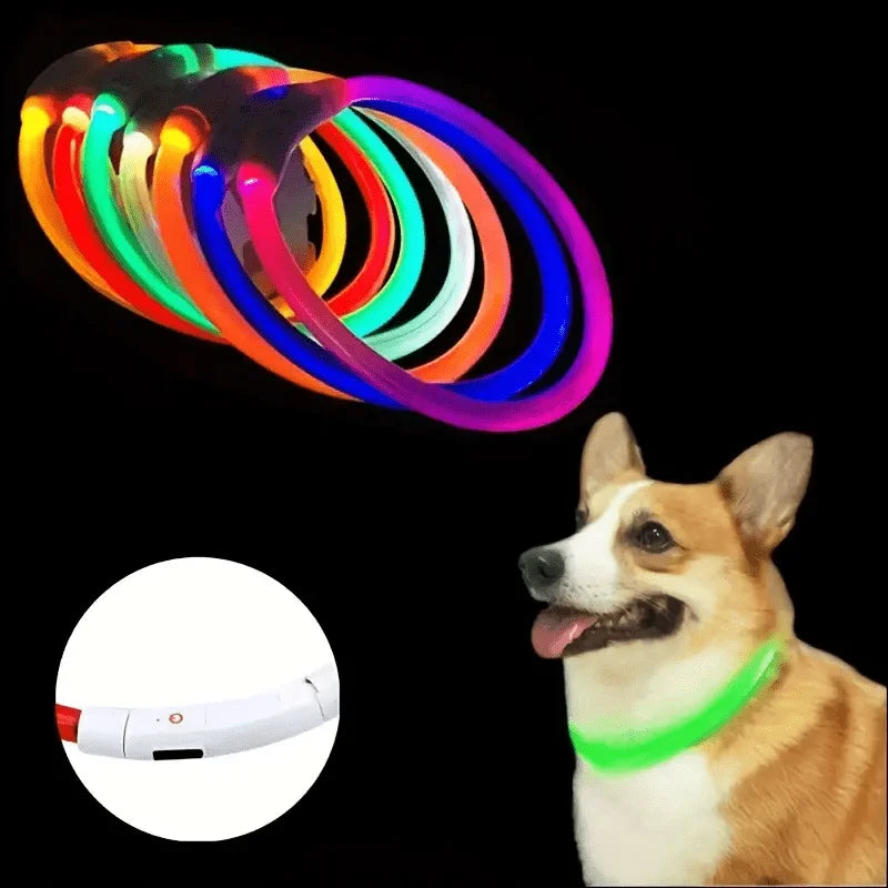 Glow-in-the-Dark LED Dog Collar 💡 | USB Rechargeable & Anti-Lost