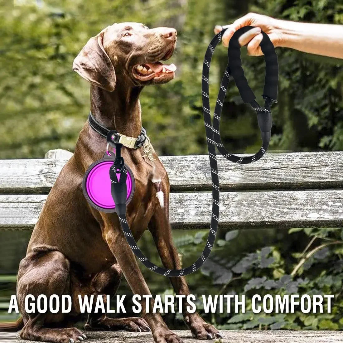 Heavy-Duty Reflective Dog Leash 🐕 | Strong Rope for All Dog Sizes